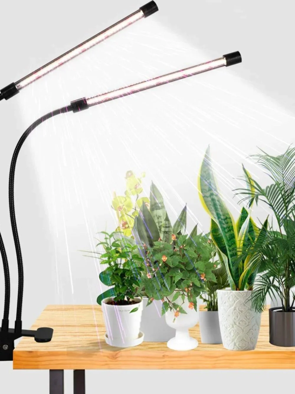 GooingTop LED Grow Light,6000K Full Spectrum Clip Plant Growing Lamp with White